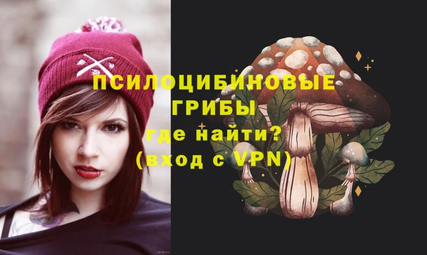 дурь Мегион