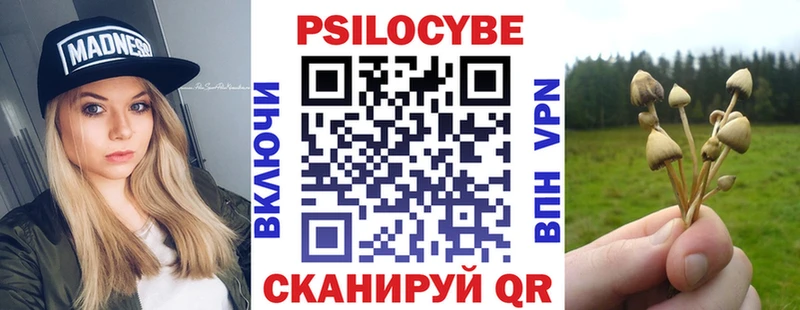 Псилоцибиновые грибы GOLDEN TEACHER  Покровск 