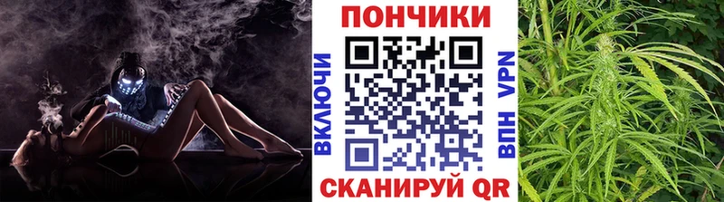 МАРИХУАНА планчик  Покровск 